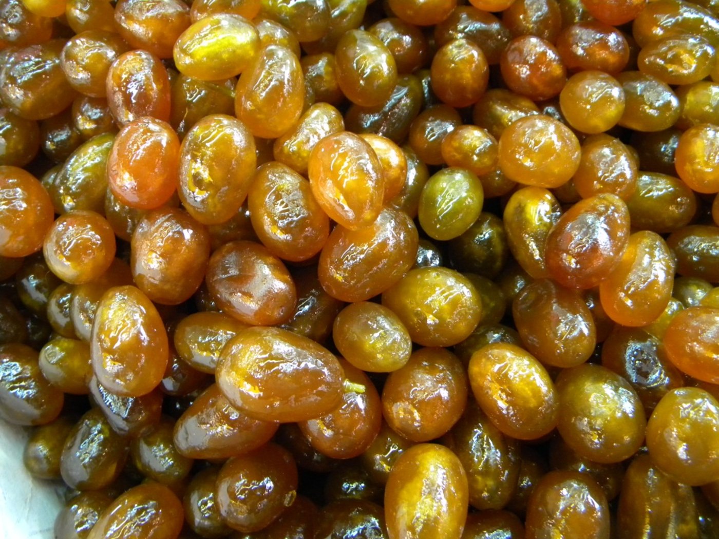 בני ברק מתכוננת לטו´ בשבט