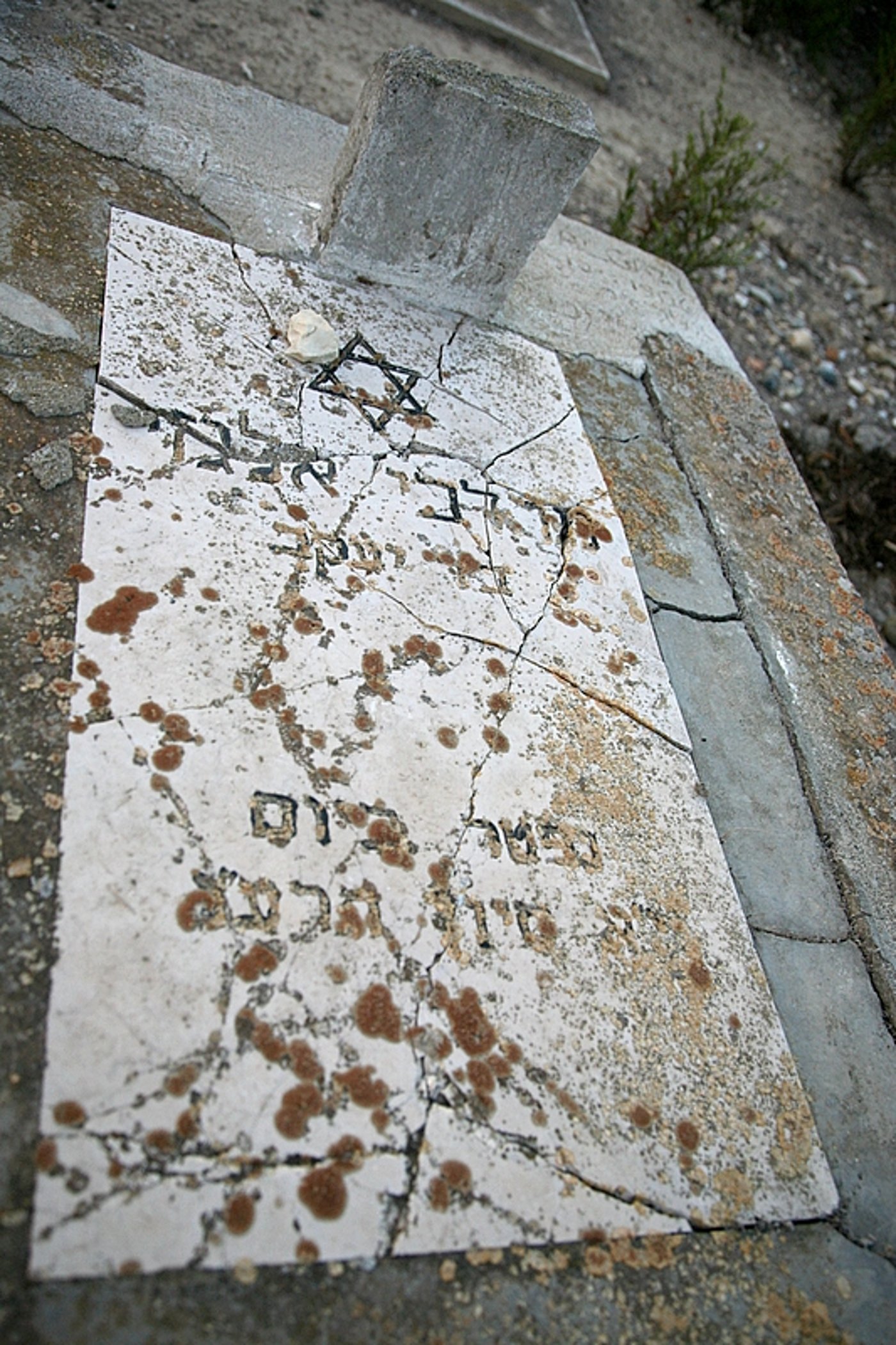 אלפסי בעולם: מסע מרתק בקפריסין