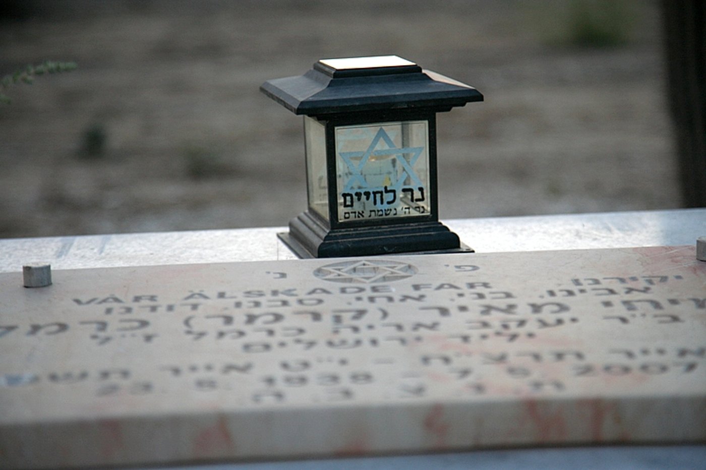 אלפסי בעולם: מסע מרתק בקפריסין