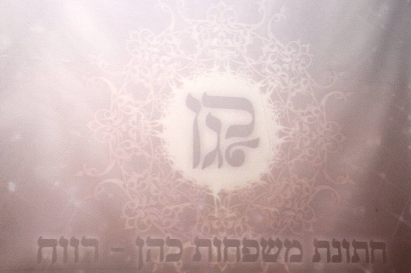 גלריה: חתונת בתו של יגאל רווח, מנכ"ל "אפיקים"