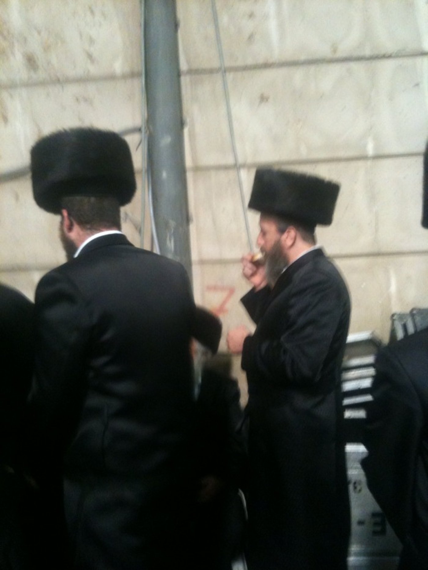 צפו: תמונות שהודלפו מחתונת סלונים