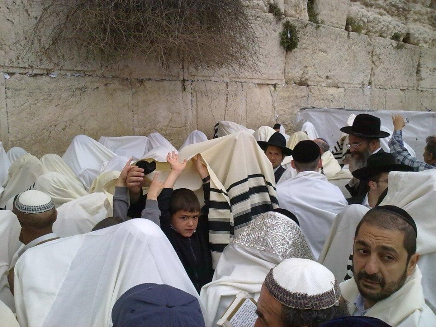 מדהים: "ברכת הכהנים" בכותל המערבי