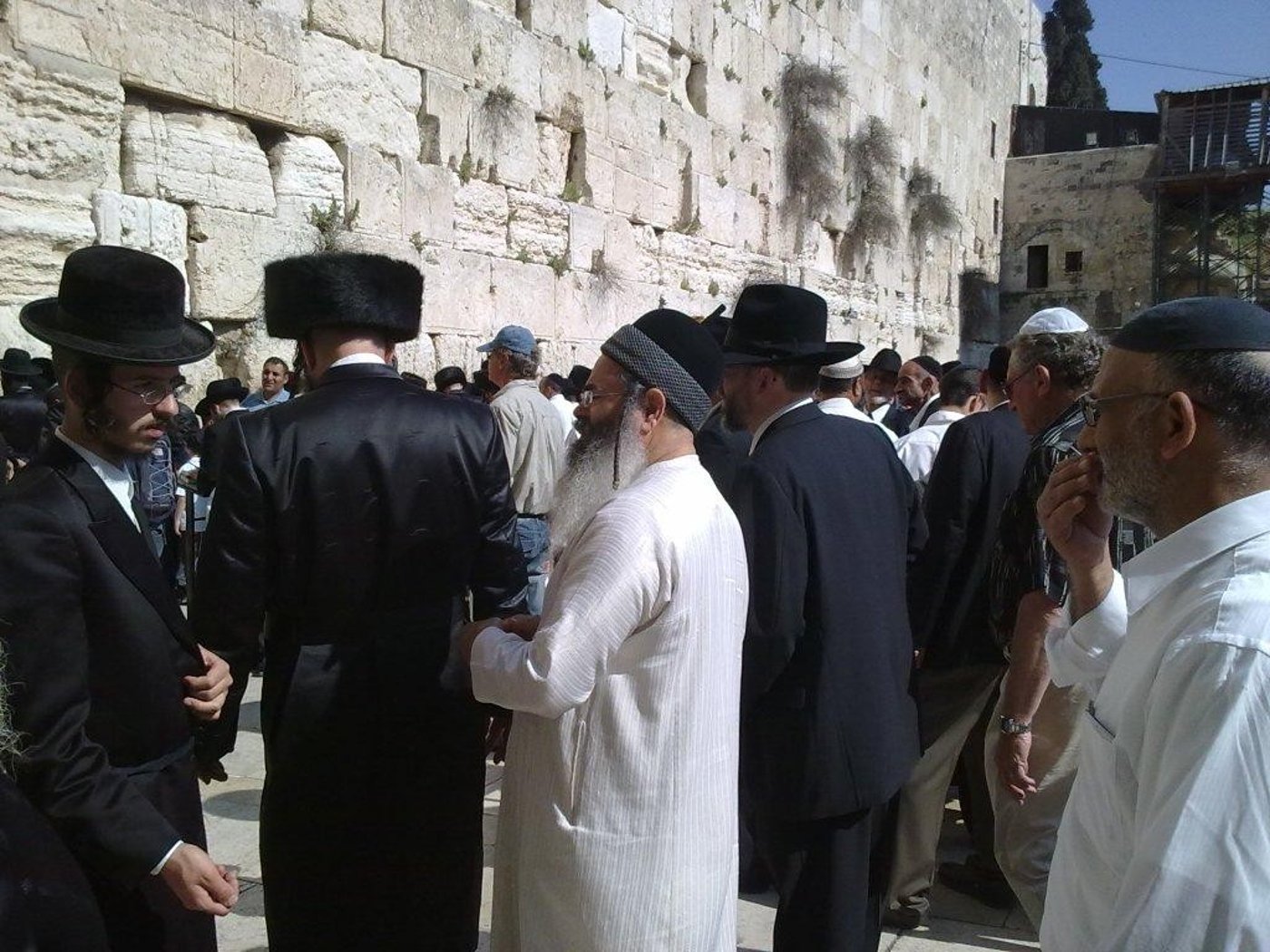 צפו בתמונות: הרב אמנון יצחק בכותל
