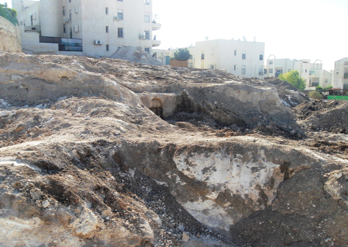 דוגמה חיה: אפשר גם בלי הפגנות