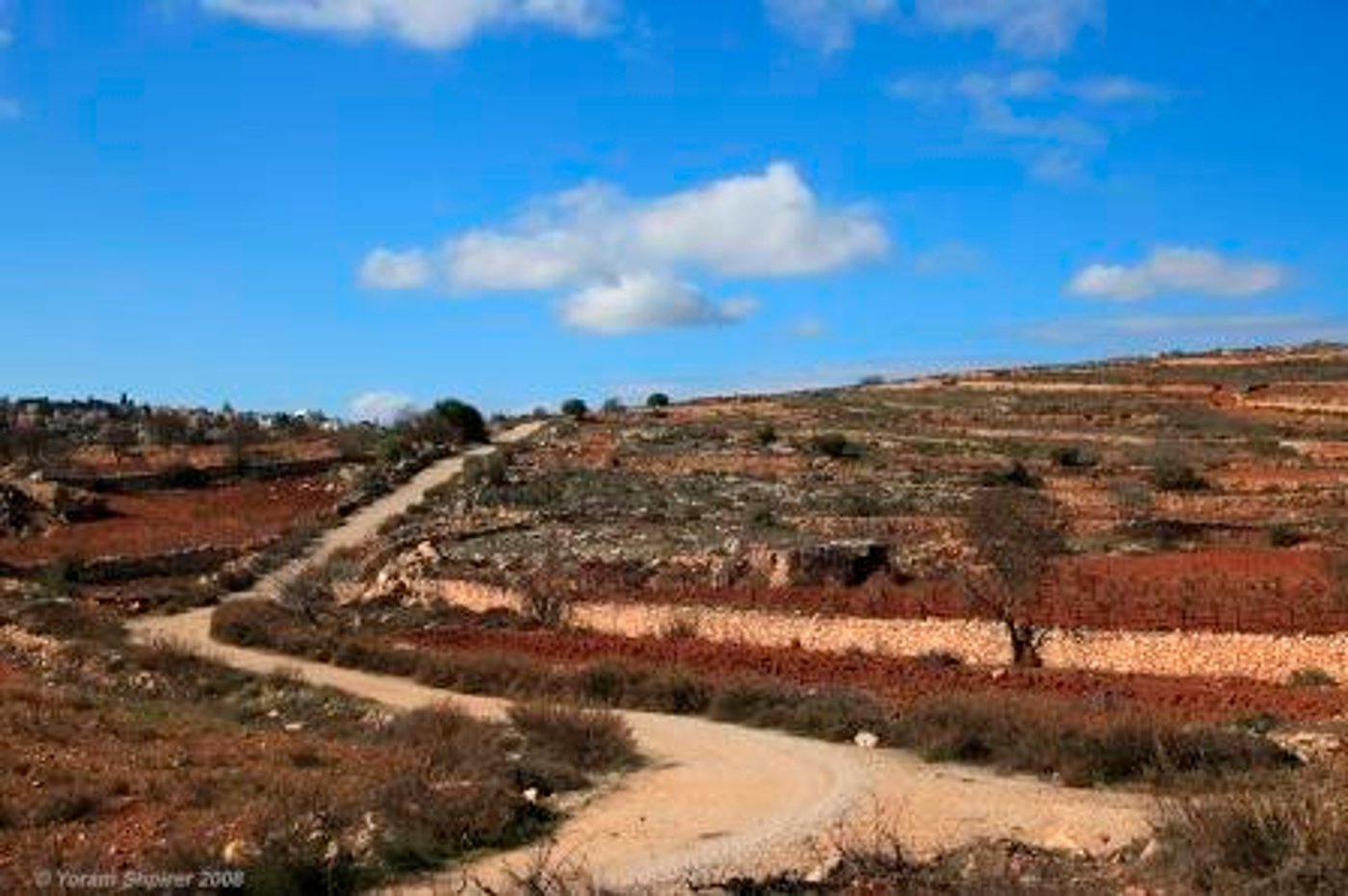 צאו לטייל: מסע מצולם בגוש עציון