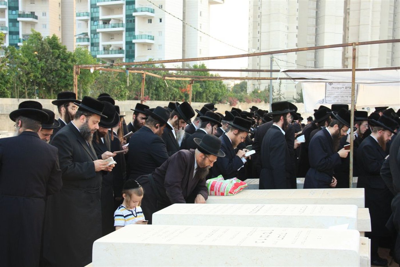 תיעוד: האדמו"ר מסערט ויז'ניץ בציון זקנו