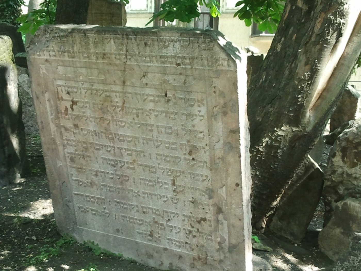 יעקב וידר מציג: חמישה ימים מסביב לפראג - בירת צ'כיה
