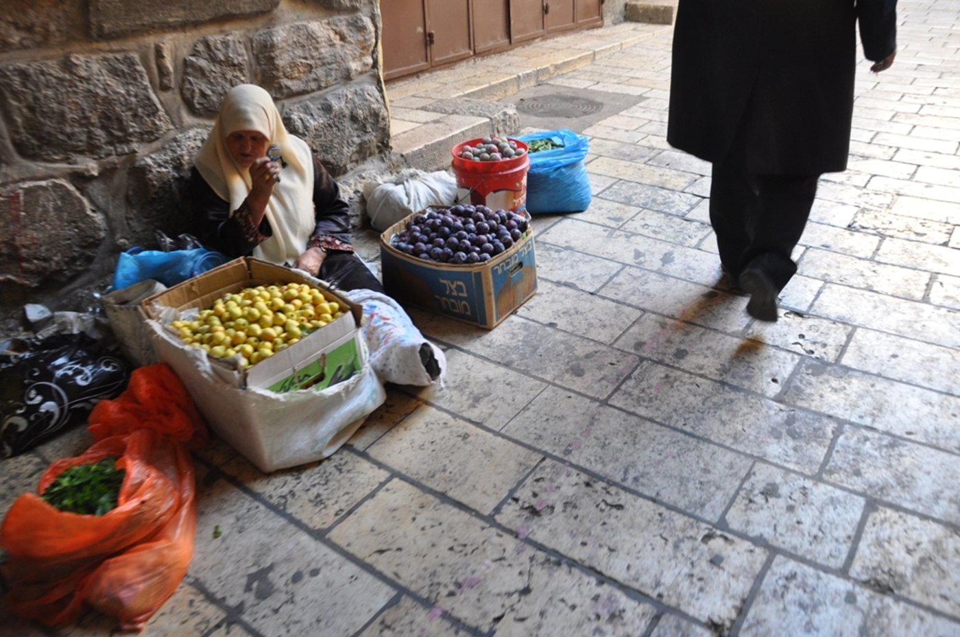 הַר צִיּוֹן שֶׁשָּׁמֵם: מסע בעקבות החורבן, בין סמטאות ירושלים