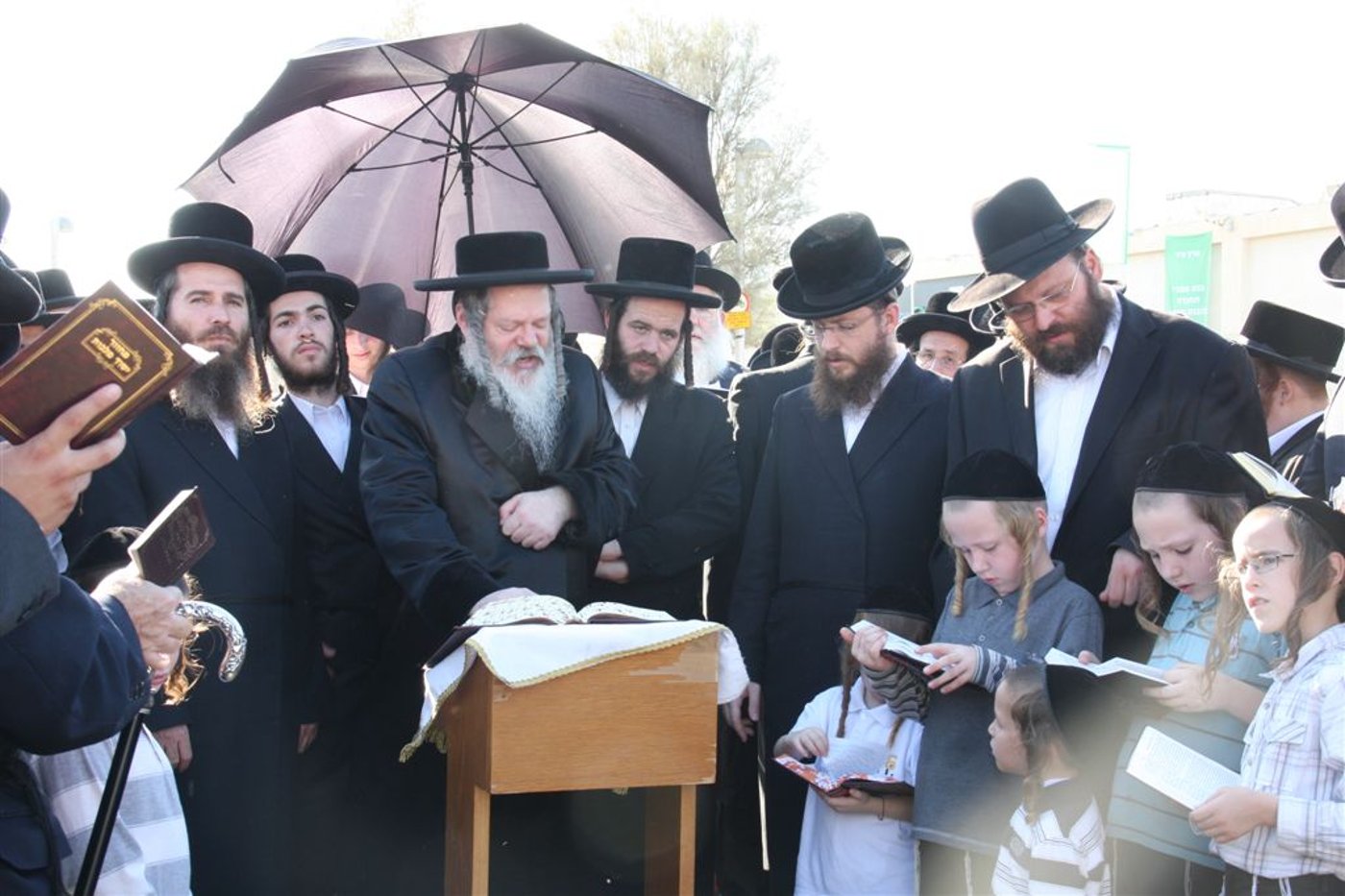 צפו בתמונות: 'תשליך' מעולם אחר