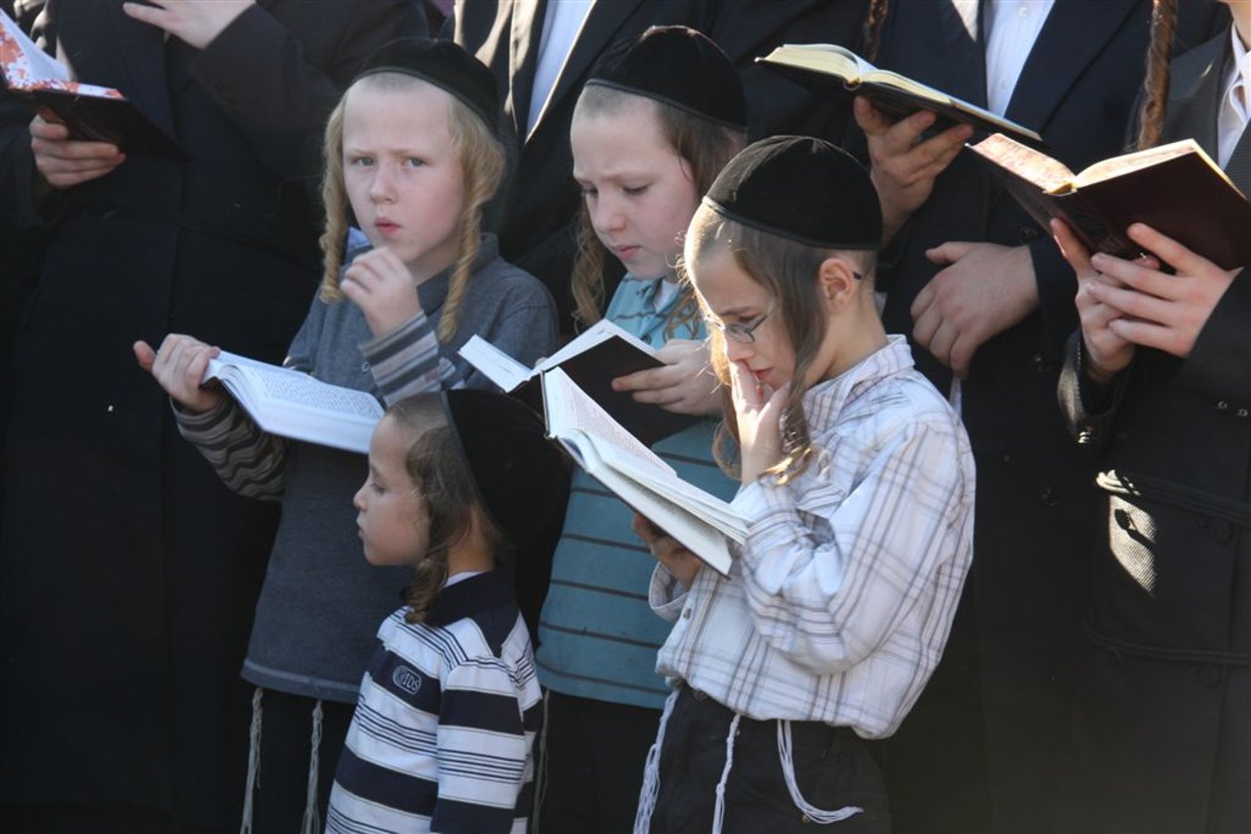 צפו בתמונות: 'תשליך' מעולם אחר