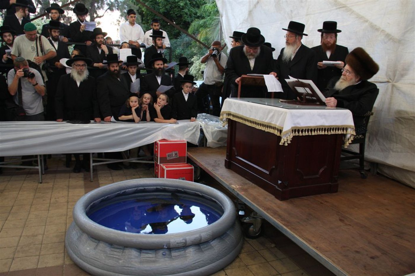 צפו בתמונות: 'תשליך' מעולם אחר