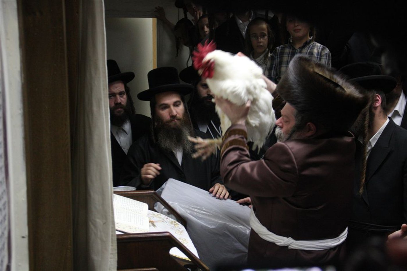פרמישלאן: האדמו"ר כיפר על תרנגול ענק