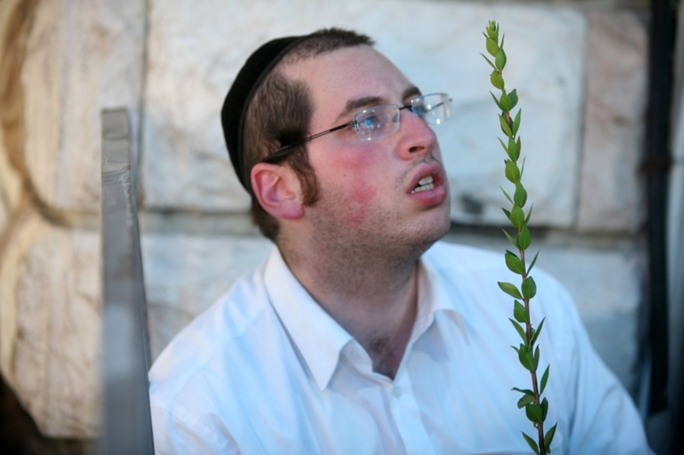 סוכות באוויר > בואו למסע בשוק ארבעת המינים