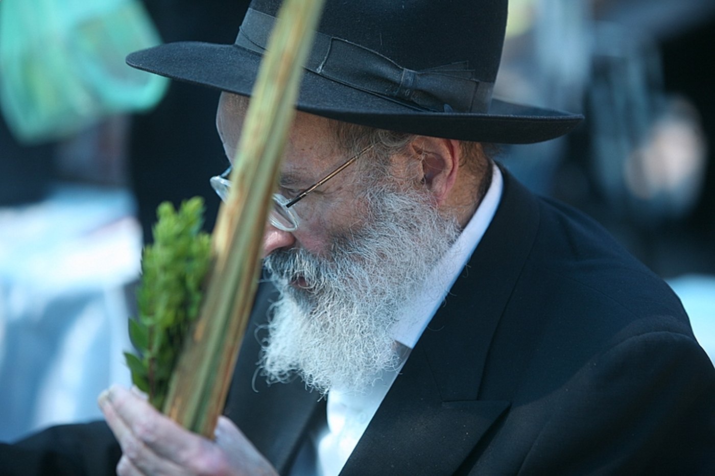 סוכות באוויר > בואו למסע בשוק ארבעת המינים