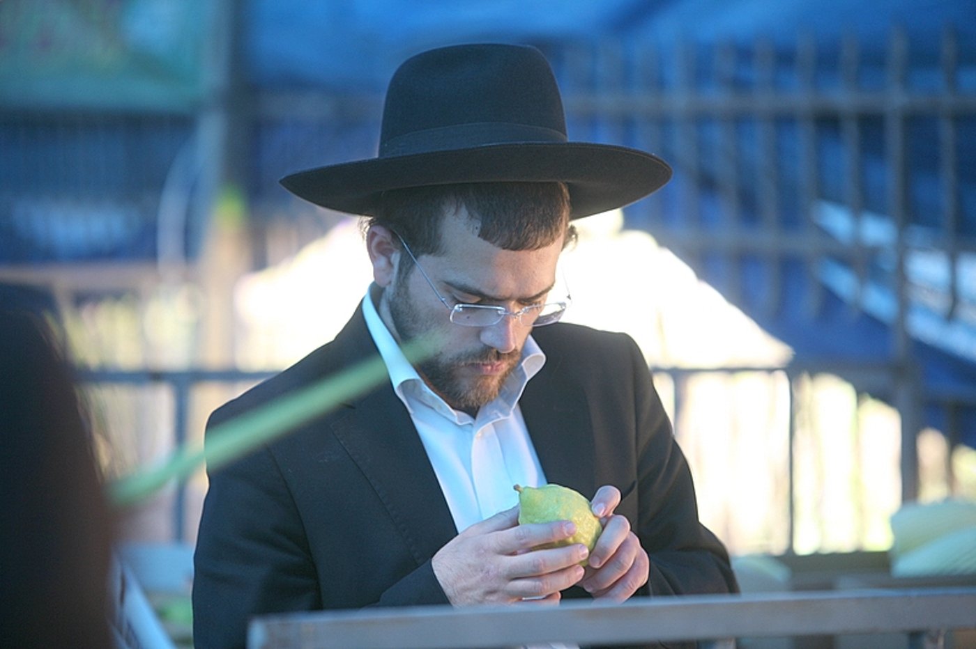 סוכות באוויר > בואו למסע בשוק ארבעת המינים