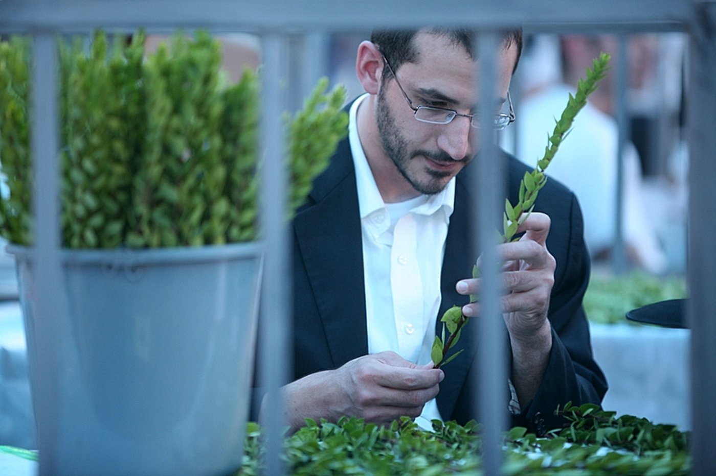 סוכות באוויר > בואו למסע בשוק ארבעת המינים