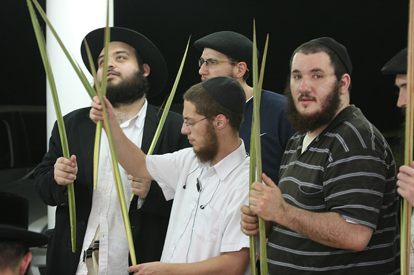 הסוד של 'אתרוגי ליובאוויטש' ●  גלריית ענק