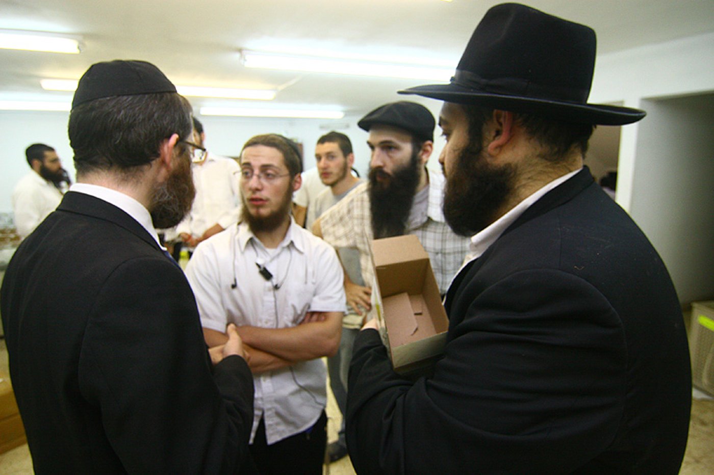 הסוד של 'אתרוגי ליובאוויטש' ●  גלריית ענק