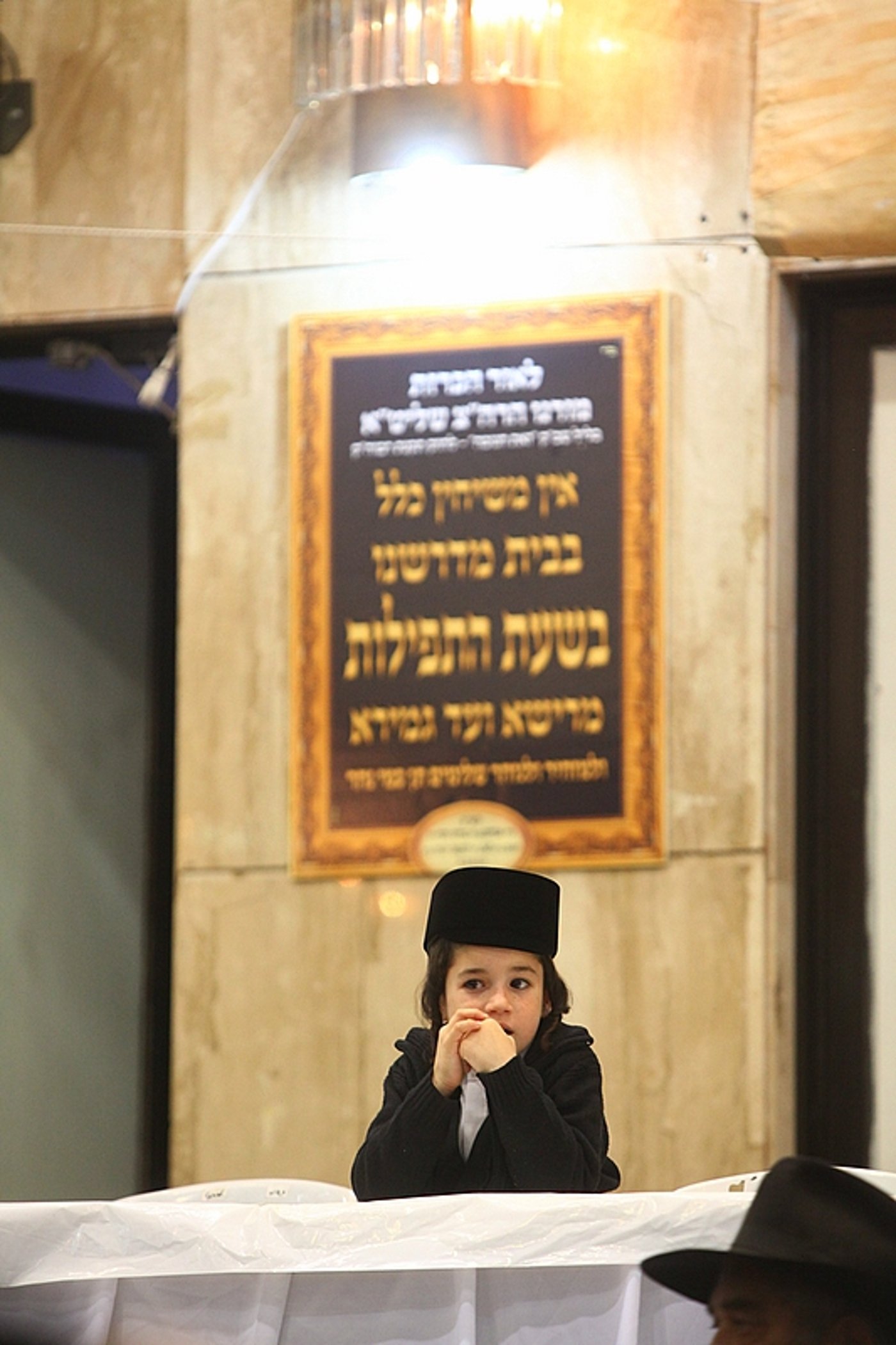 ענבי הגפן בענבי הגפן: חתונה היסטורית בחצר ויז'ניץ ●  תיעוד