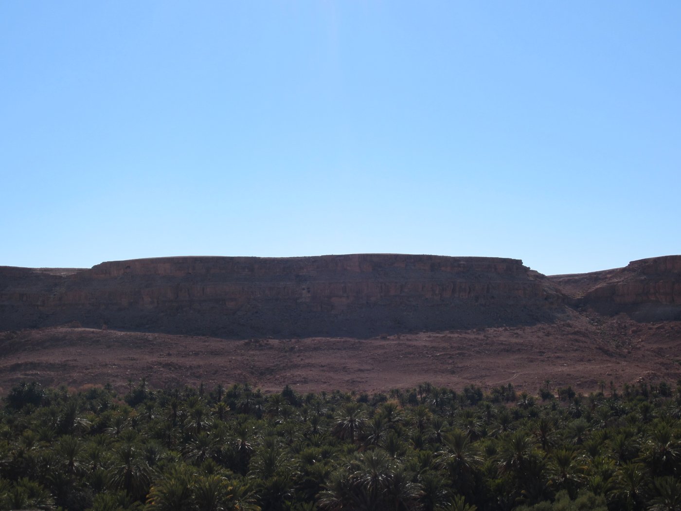 בחזרה לשורשים: מסע מרהיב במרוקו