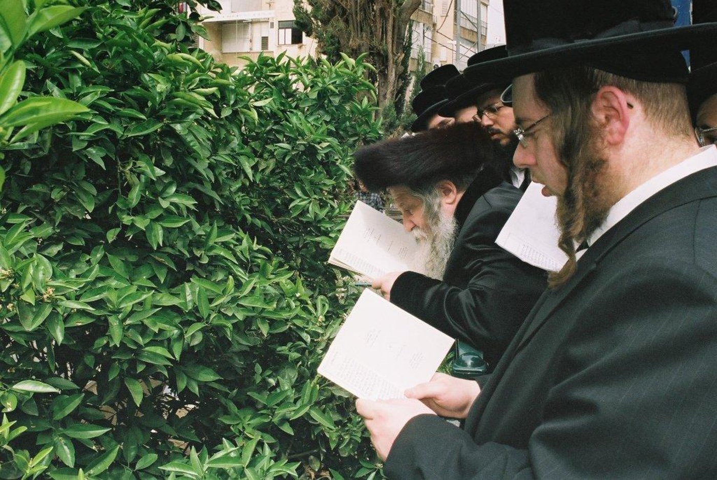 80 שנות תורה וחסידות • תמונות מחיי האדמו"ר מנדבורנה