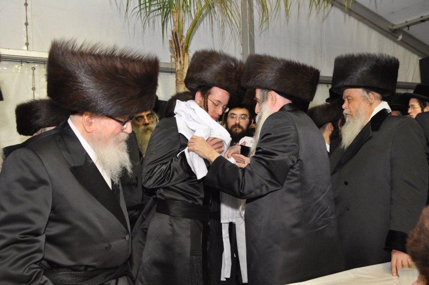 גלריית ענק: שמחת בית בעלזא-מכנובקא