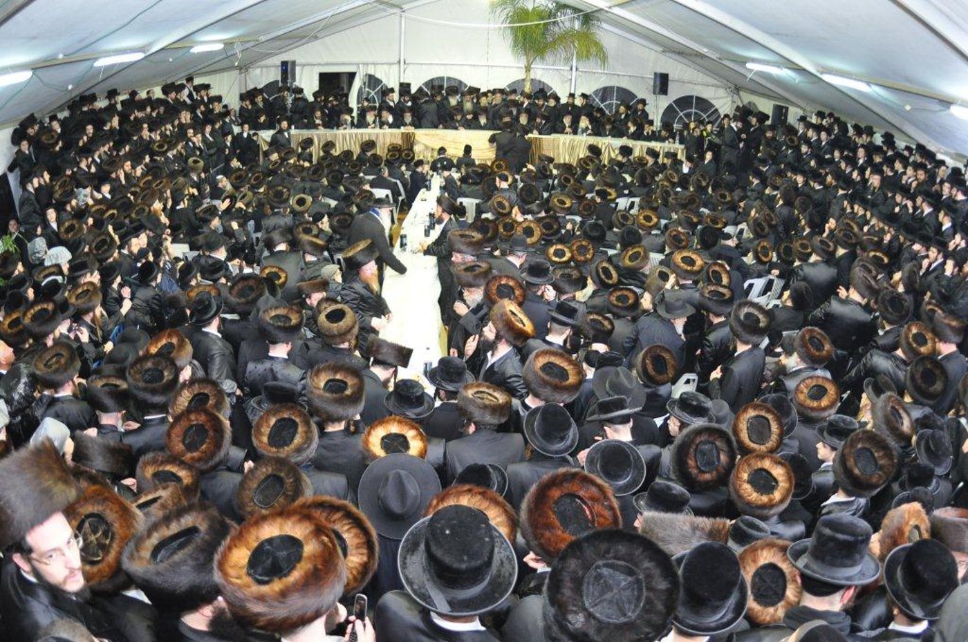 גלריית ענק: שמחת בית בעלזא-מכנובקא
