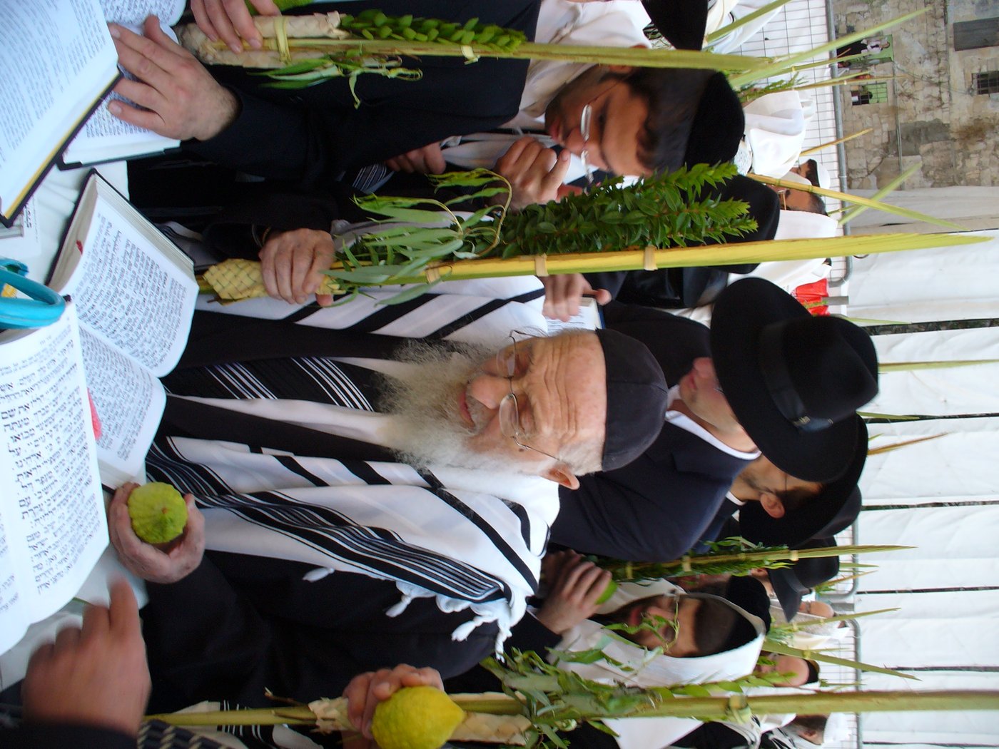 תולדות חייו של הגאון רבי חיים פנחס שיינברג זצ"ל