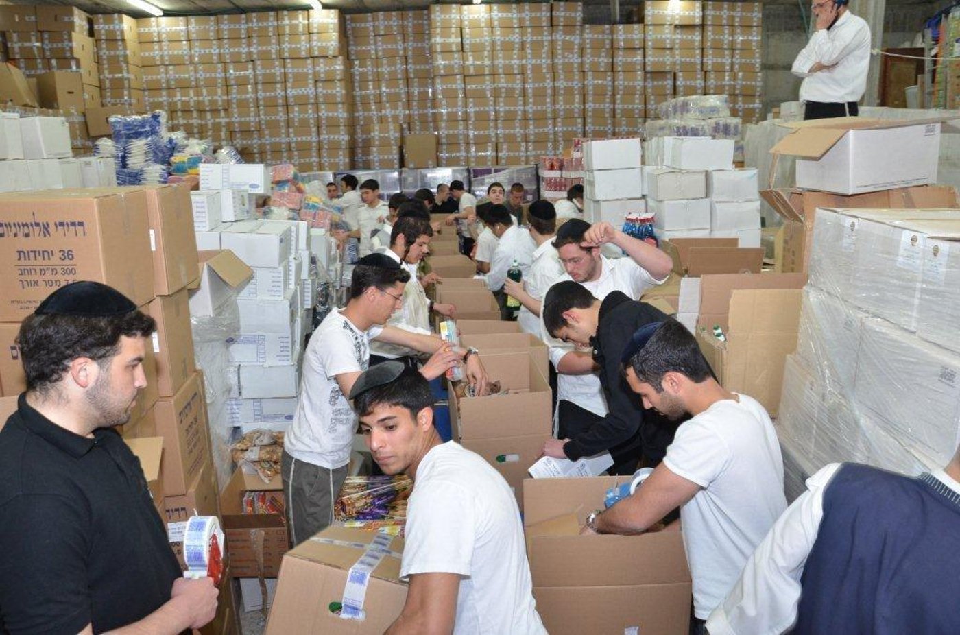 ללא תלושים, ללא בזיונות, ללא השפלות: קמחא דפסחא טהור