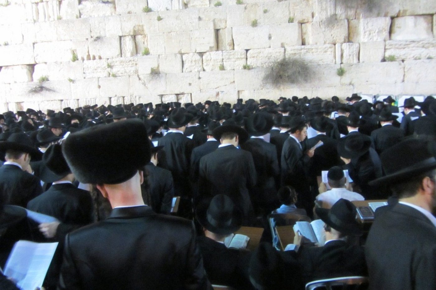 פוניבז' מתפללת לרפואת בחור חולה