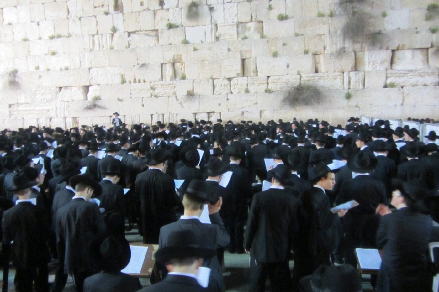 פוניבז' מתפללת לרפואת בחור חולה