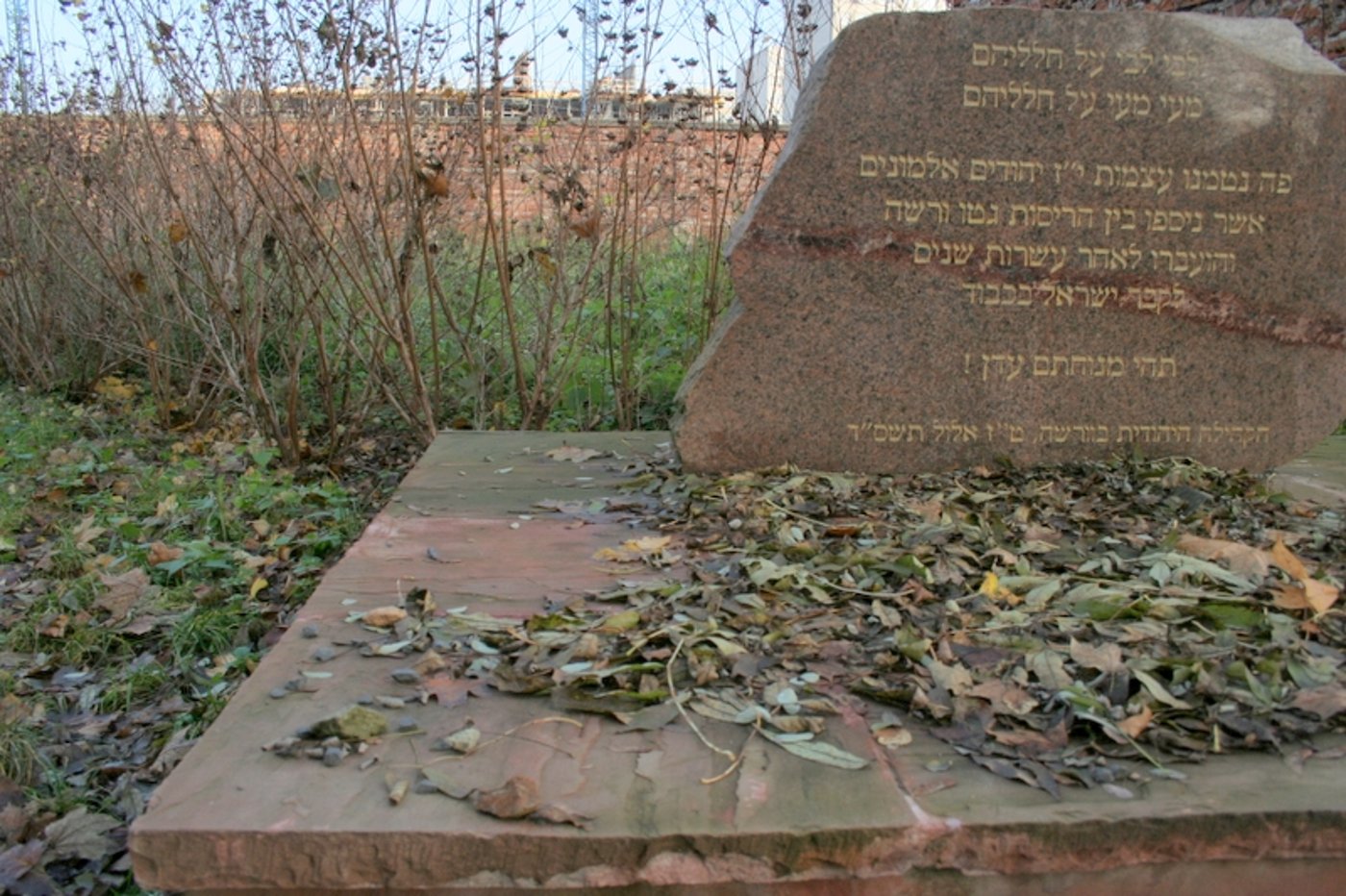 אוד מוצל מאש: מסע מרגש בין שרידי גטו ורשה > תיעוד מיוחד