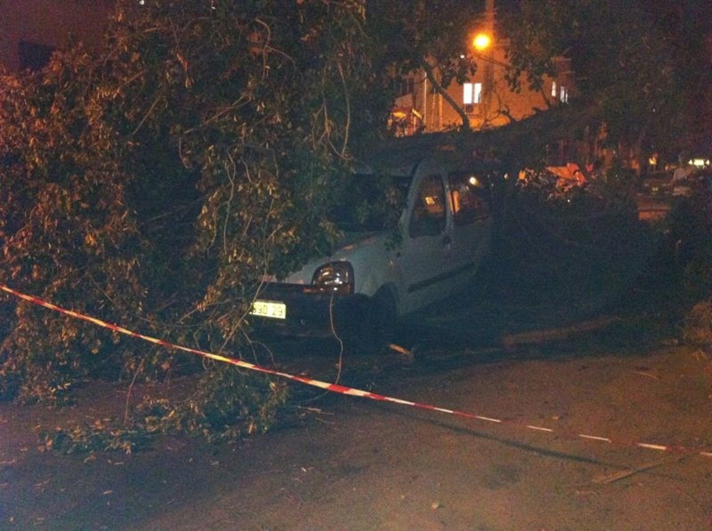 נס בבני-ברק: עץ עבות נפל על רכב בו נהג אברך