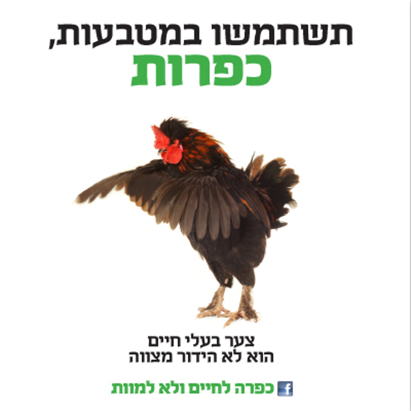 מתוך הקמפיין (צילום מסך)