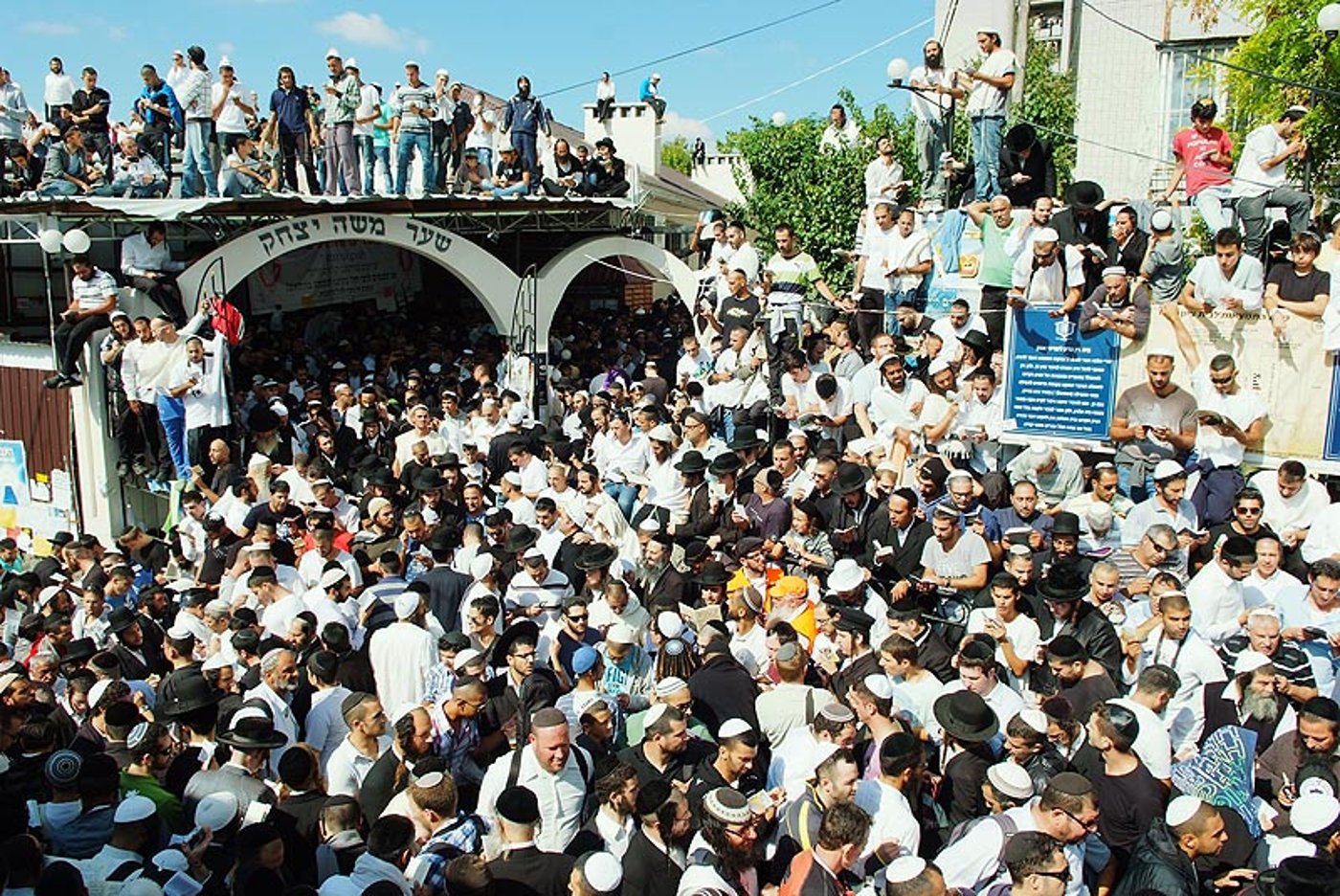 אומן בעדשת אמן: צפו בגלריית ענק
