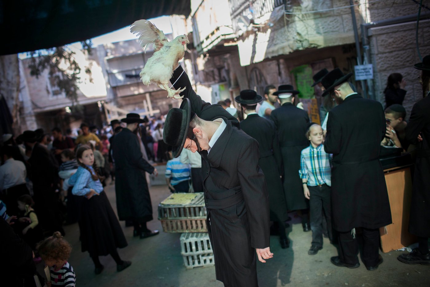 זֶה הַתַּרְנְגוֹל יֵלֵךְ • מנהג ה'כפרות' במאה שערים