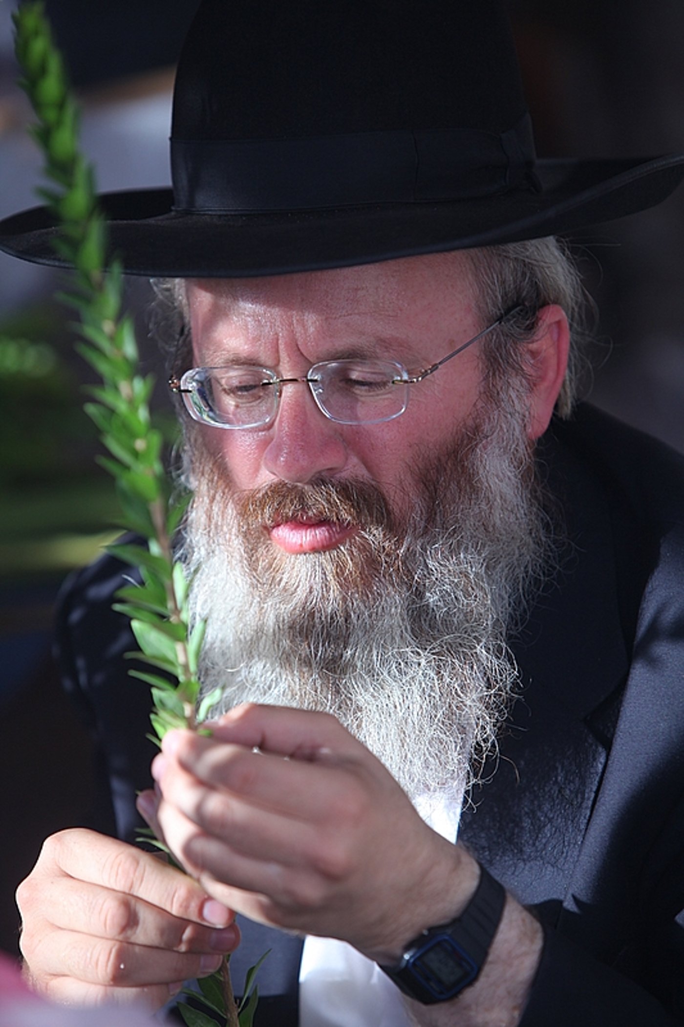 וּלְקַחְתֶּם לָכֶם ● שוק ה-4 מינים בירושלים, תיעוד חג