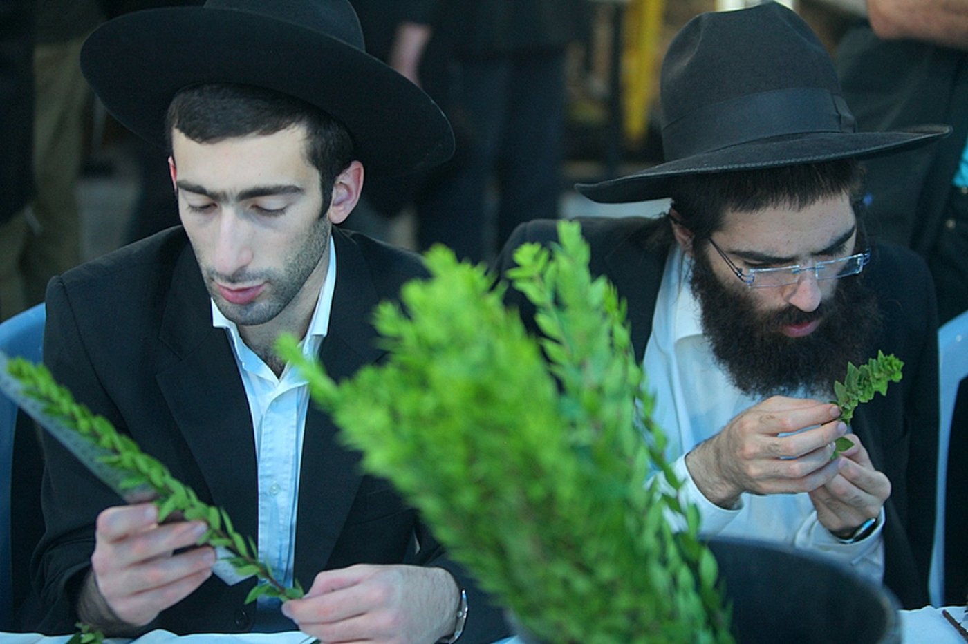וּלְקַחְתֶּם לָכֶם ● שוק ה-4 מינים בירושלים, תיעוד חג