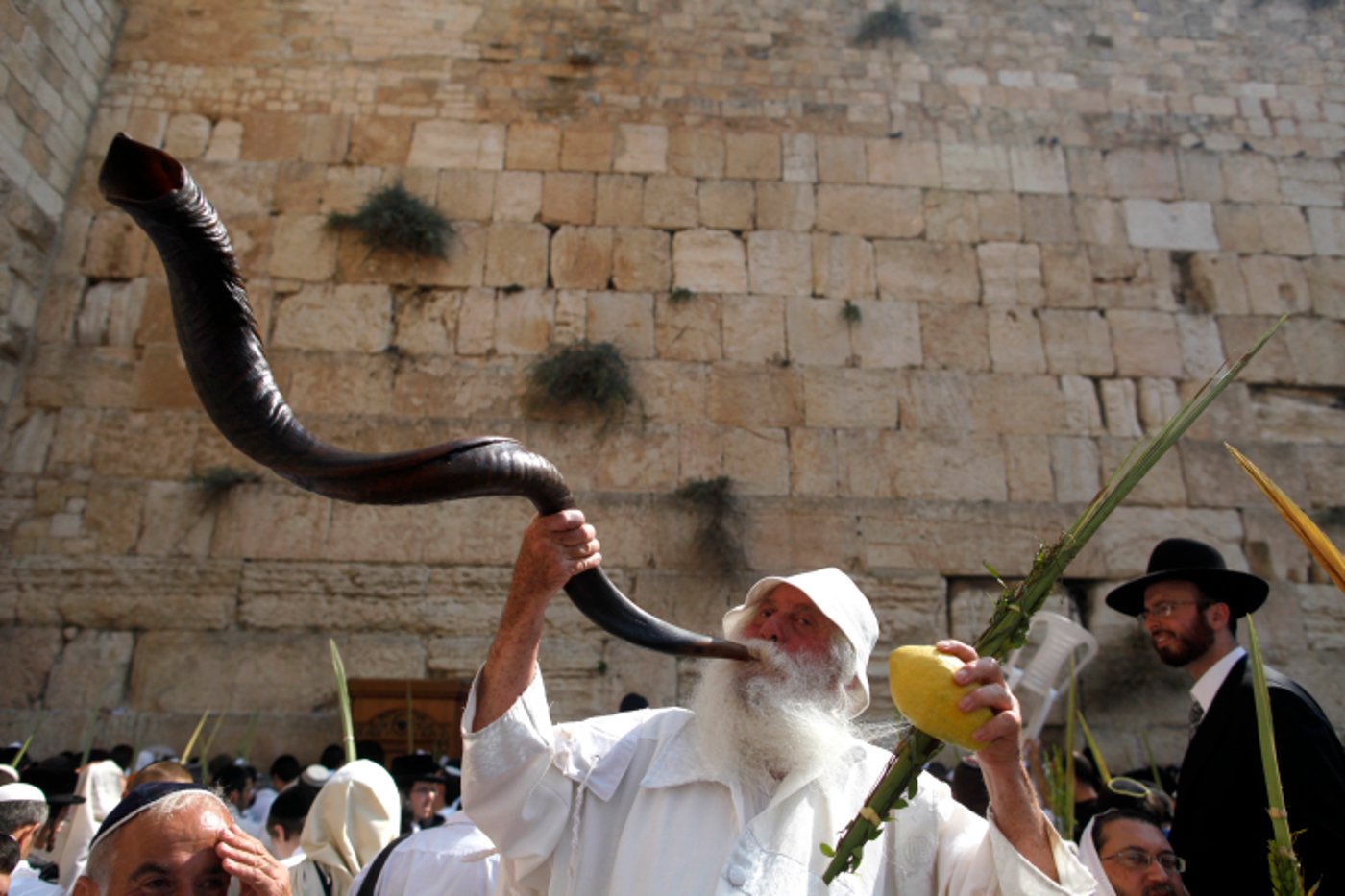 לברך את עמו ישראל: צפו בברכת הכהנים בכותל