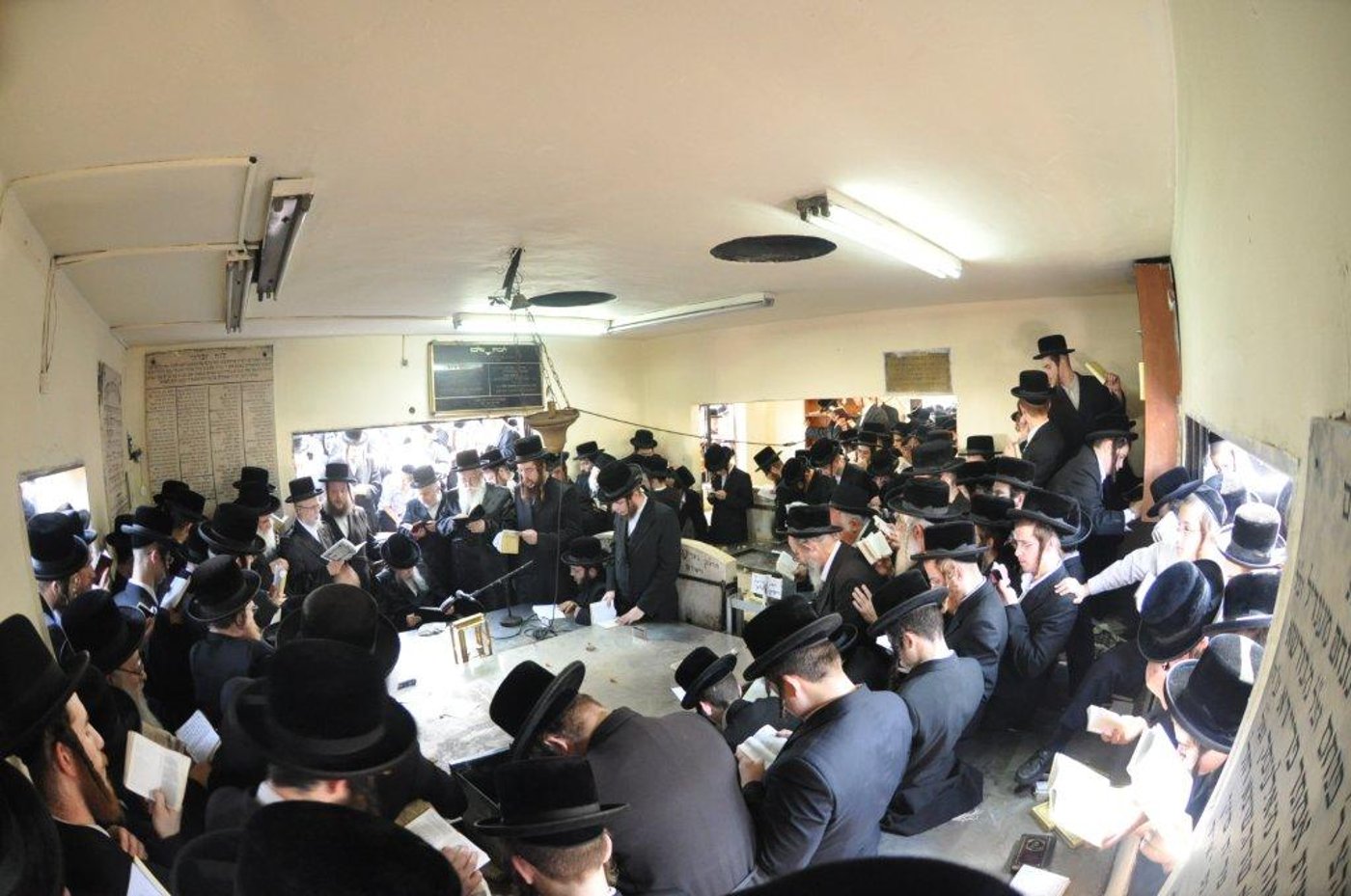 גלריה: ‏‏האדמו"ר מסערט ויזניץ עלה לקבר אביו