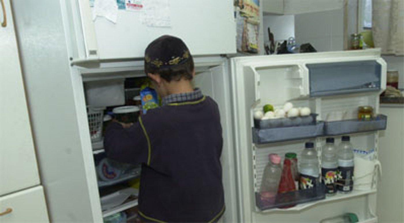 עוברים למקרר חדש