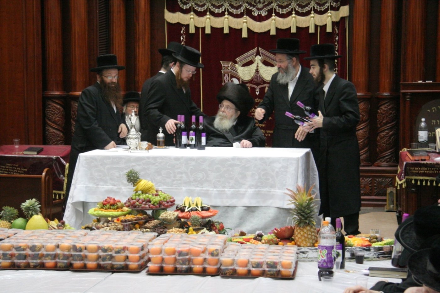 מראות חייו של האדמו"ר מסאדיגורא זצ"ל • גלריה