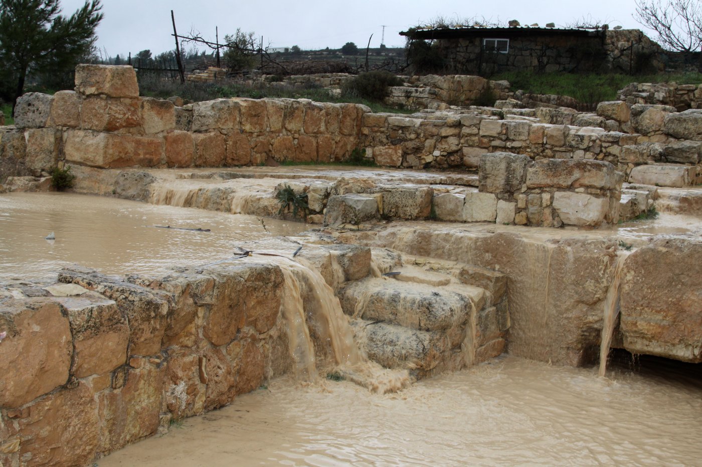 רוחות עזות וגשם סוער • תמונות מנזקי הסופה