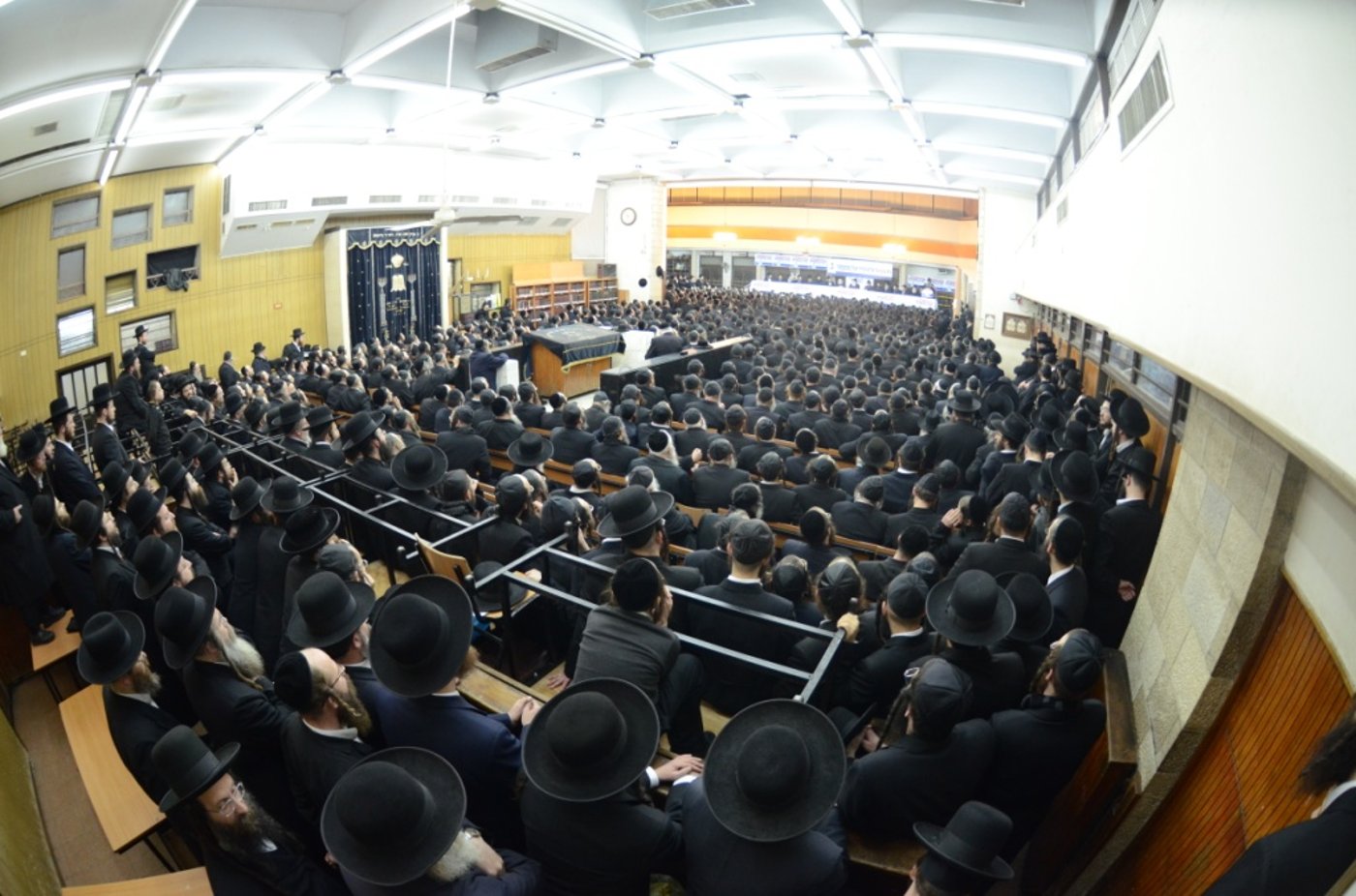 "צבא גור" מתגייס למען יהדות התורה