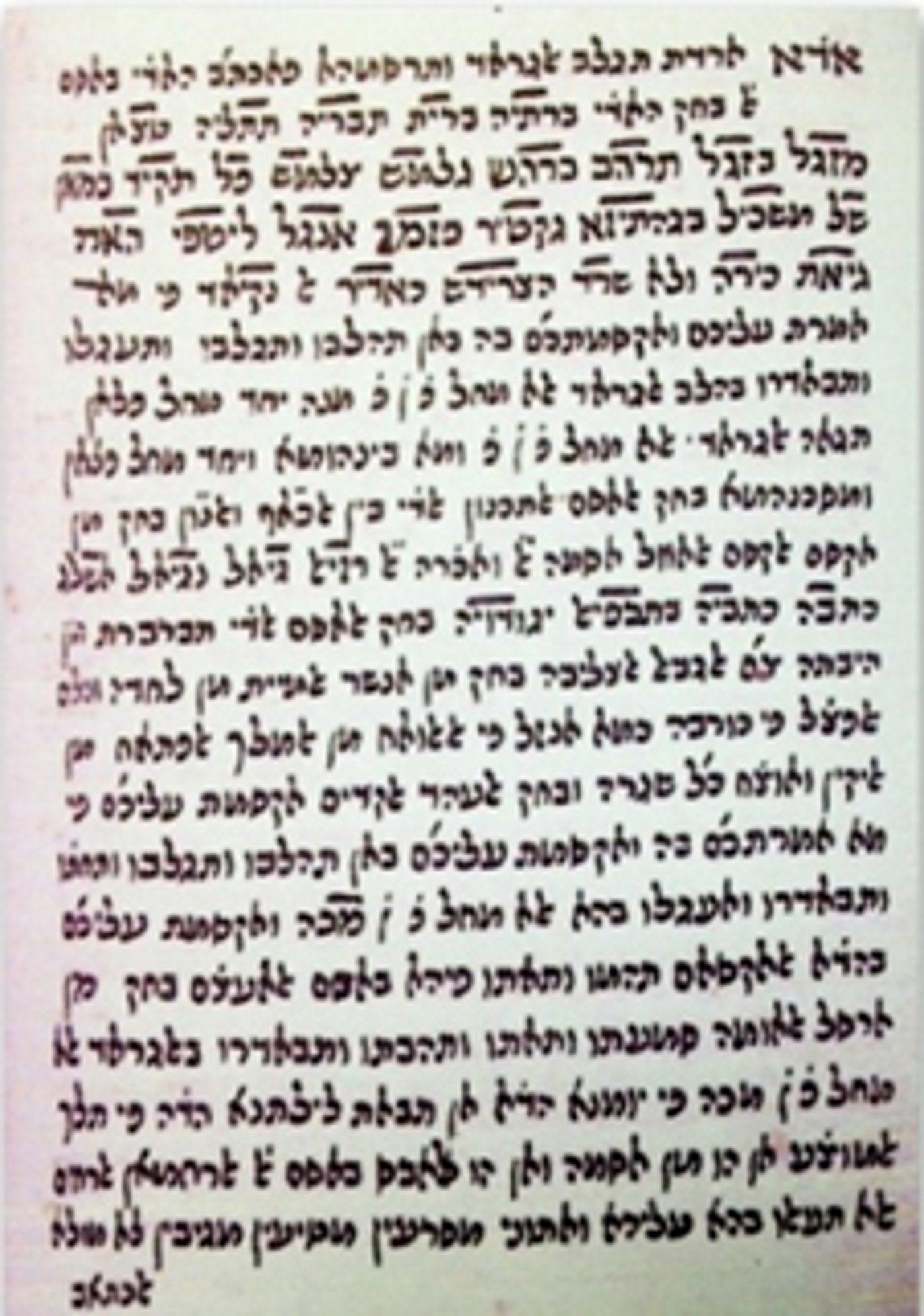 סגולה נגד ארבה