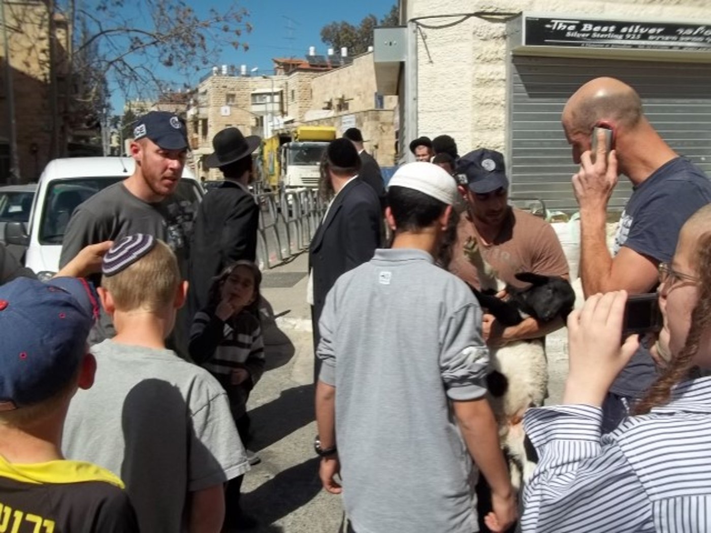ירושלים: המשטרה עצרה טלה שיועד לקורבן