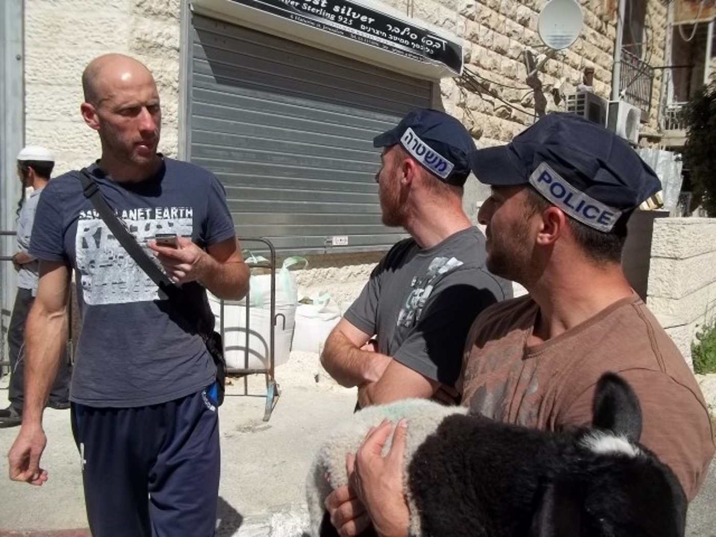 ירושלים: המשטרה עצרה טלה שיועד לקורבן