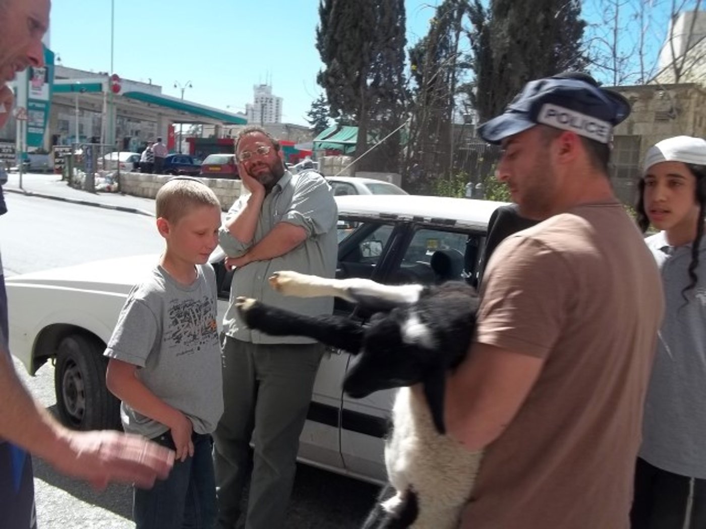 ירושלים: המשטרה עצרה טלה שיועד לקורבן