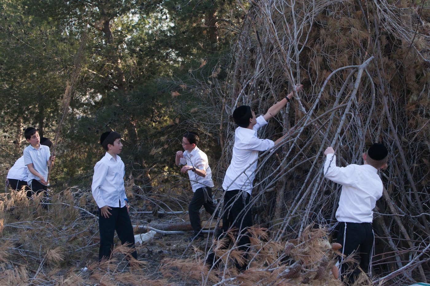 ל"ג בעומר: ילדי ירושלים נערכים למדורות • גלריה