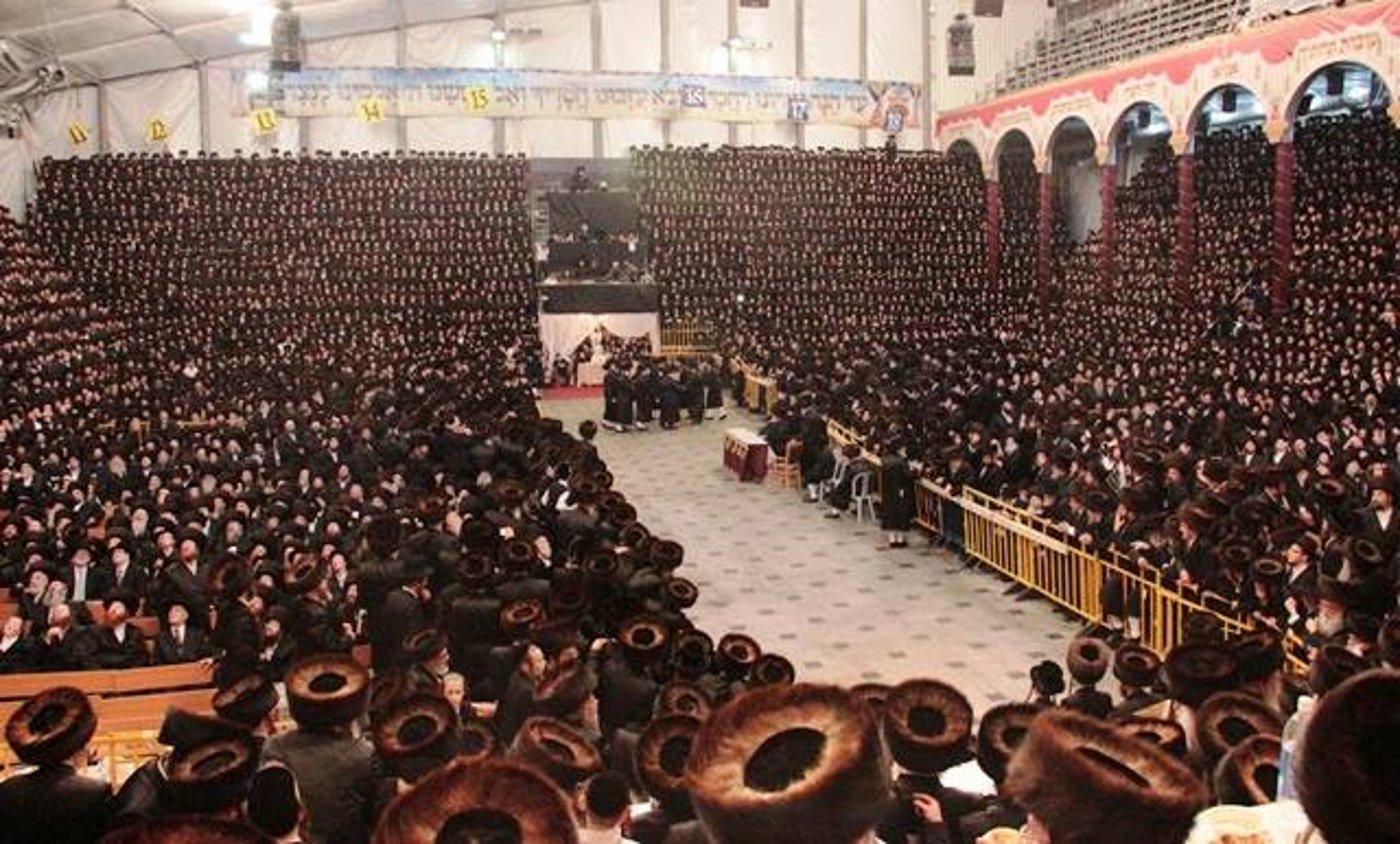 השמחה בחצר בעלזא. תיזכר לנצח בזכות התורה